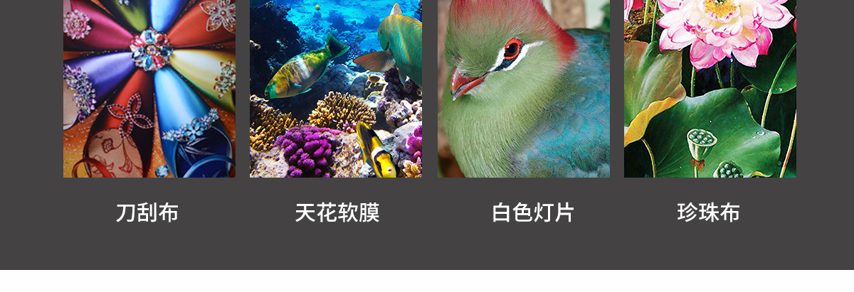 ht1600麻豆8HDXXXX18HD