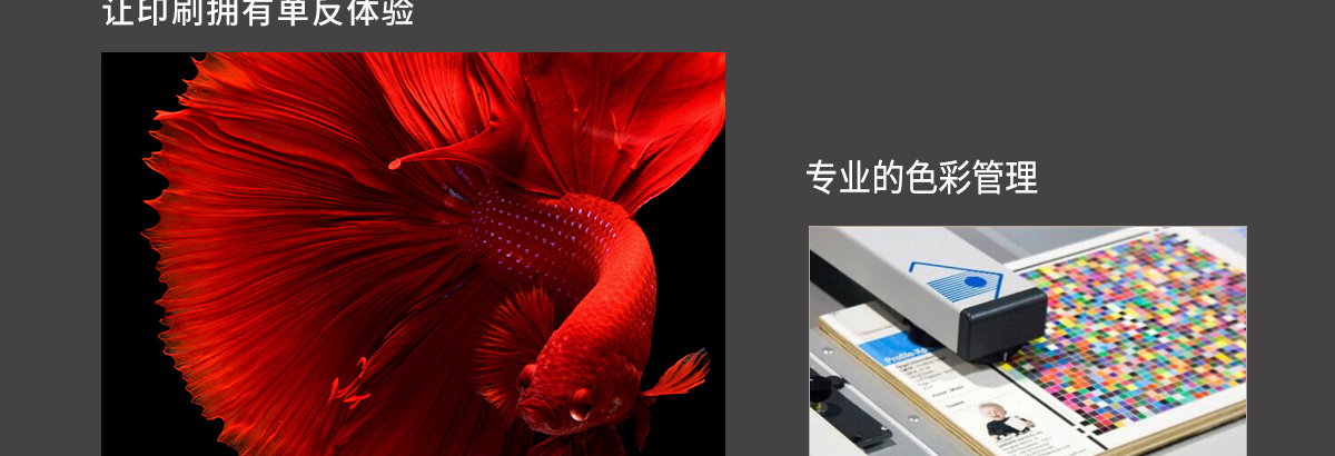 ht1600麻豆8HDXXXX18HD