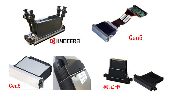 麻豆8HDXXXX18HD噴頭